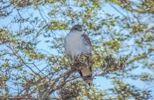 Bosque Piedra Reserve Tour