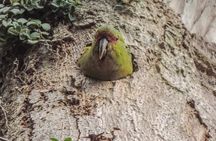 Bosque Piedra Reserve Tour