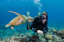 Silverswift Dive and Snorkel Great Barrier Reef Cruise