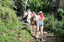 Guatape With Coffe Tours
