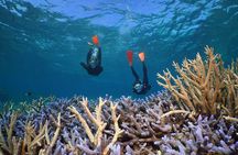 Silversonic Outer Great Barrier Reef Cruise from Port Douglas