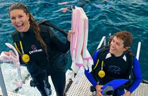 Silversonic Outer Great Barrier Reef Cruise from Port Douglas