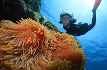 Silversonic Outer Great Barrier Reef Cruise from Port Douglas