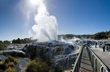 Private Tour to Te Puia, Hangi Buffet Lunch &Cultural Performance