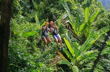 Zipline & Coffee with Waterfall Views in Koh Samui