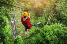 Zipline & Coffee with Waterfall Views in Koh Samui