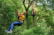Zipline & Coffee with Waterfall Views in Koh Samui
