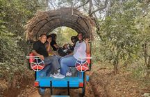 Sigiriya Rock and Village Tour from Colombo