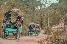 Sigiriya Rock and Village Tour from Colombo