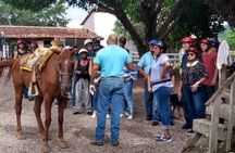 Experience Horse Riding, ATV & Zipline from Puerto Vallarta