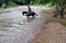 Horse Back Riding, Zipline and ATV Experience 