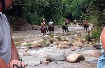 Horse Back Riding, Zipline and ATV Experience 