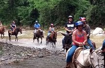 Horse Back Riding, Zipline and ATV Experience 