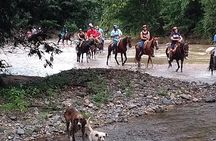 Experience Horse Riding, ATV & Zipline from Puerto Vallarta