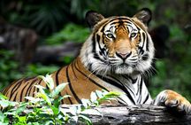 Golden Triangle Tour with Ranthambore by AC Car From Delhi