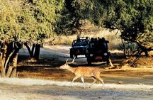 Golden Triangle Tour with Ranthambore by AC Car From Delhi