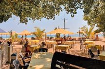 Southern Coast Highlights from Colombo