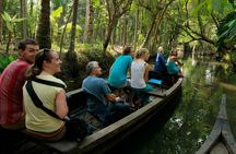 8 Days Kerala Private Tour Covering Kochi- Munnar- Periyar- Alleppey and Kovalam