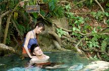 ECO Premium Jungle Hot Springs and Temple Tour