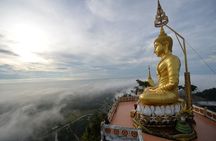 ECO Premium Jungle Hot Springs and Temple Tour
