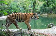 Corbett Wildlife Safari Tour with Kumaon Hill Station