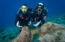 Try Dive by boat, Puerto Colon