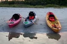 Nauti Exposures - Kayak rental Naples, FL