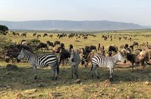 3-Days Maasai Mara Camping Safari on 4x4 Land Cruiser Jeep
