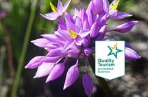 Spring Wildflower Private Day Tours