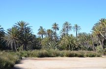 Visit the Oasis & Tea at the Basketmaker.