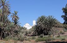 Visit the Oasis & Tea at the Basketmaker.