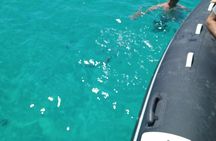 Small rubber boat excursion to Tavolara and Molara