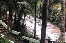 Bob Marley & Dunn's River Falls (GROUP) Transportation only 