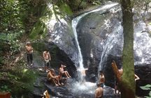 Hiking on the Cantareira Park 