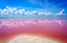 Pink Lake Las Coloradas + Rio Lagartos Reserve! Transportation from Cancun