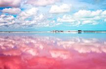 Pink Lake Las Coloradas + Rio Lagartos Reserve! Transportation from Cancun