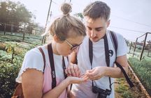 Hoi An sunrise, fish market tour and taking photos( Private tour)