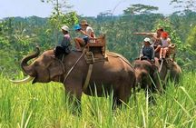 Corbett Wildlife Safari Tour with Kumaon Hill Station