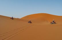 Quad Bike Tour (1 hour)