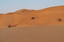 Quad Bike Tour (1 hour)