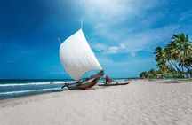Negombo City Tour from Colombo