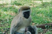 1 Day Mount Longonot Trek