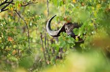 1 Day Mount Longonot Trek