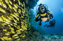 Snorkeling in Talawila St. Anne's Reef