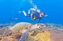 Snorkeling in Talawila St. Anne's Reef