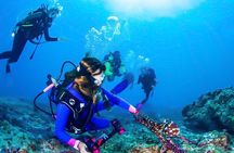 Snorkeling in Talawila St. Anne's Reef