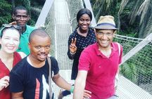 One day Lagos Music, Art and Culture Private Tour