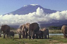 Overnight Amboseli National Park Safari 