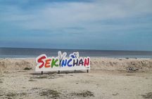 Paddy Field, Fishing Village Sekinchan DAY Tour Lunch (SIC-Shared/Join In Tour)