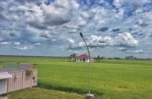Paddy Field, Fishing Village Sekinchan DAY Tour Lunch (SIC-Shared/Join In Tour)